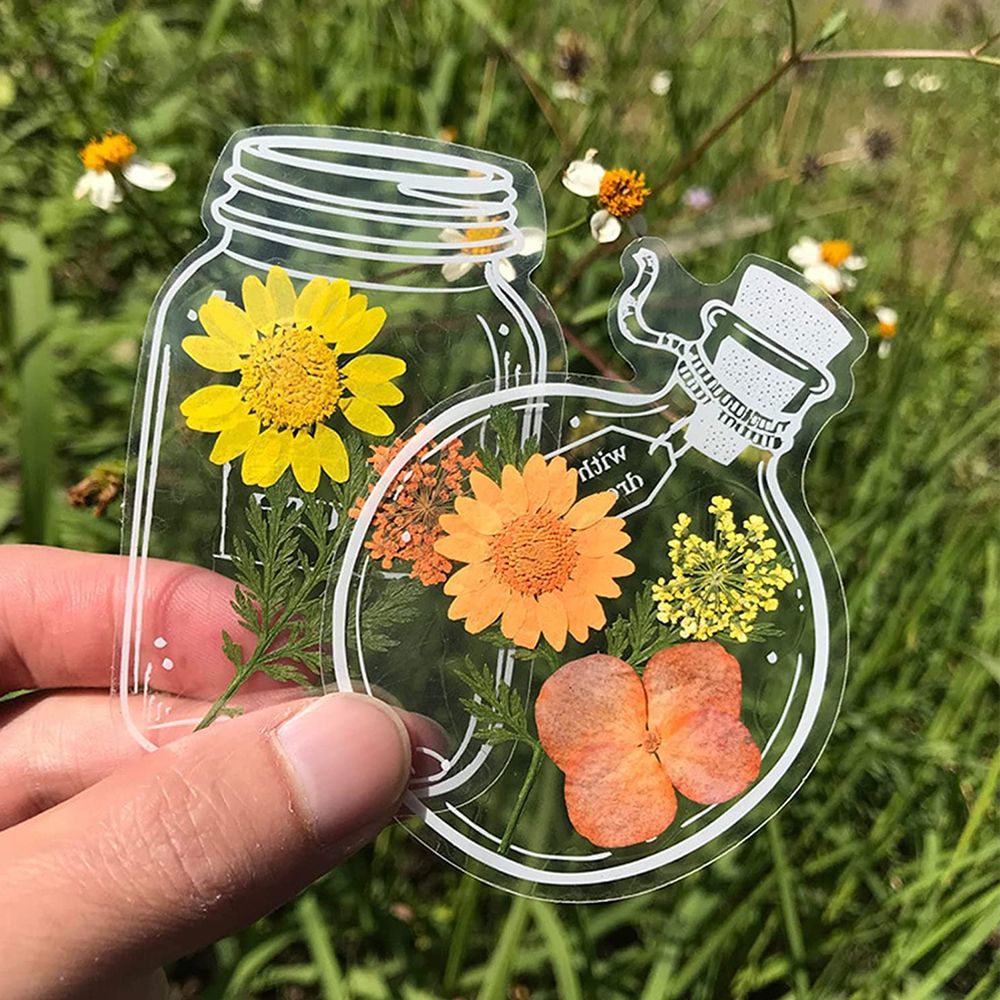 علامات عشبة مجففة شفافة ، مقاط - مراجعة Dried Flower Bookmark وسعره